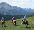 Horses GC